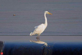 官方网站-瀼-官方网站
